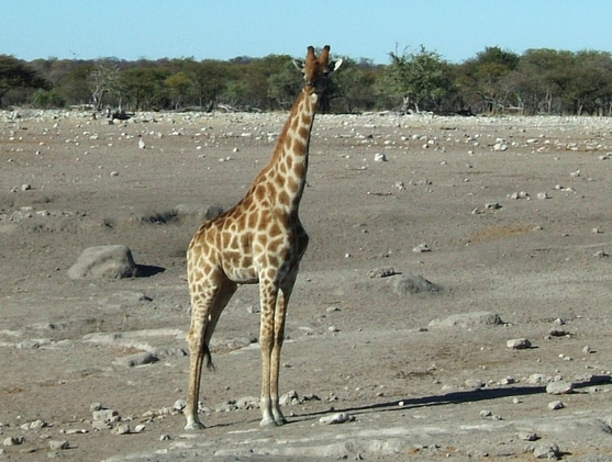 DSCF1727.JPG