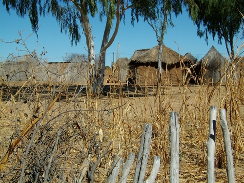 DSCF1746.JPG
