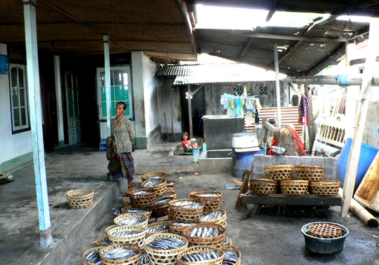 P1050199.JPG
