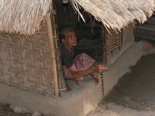 P1050330.JPG