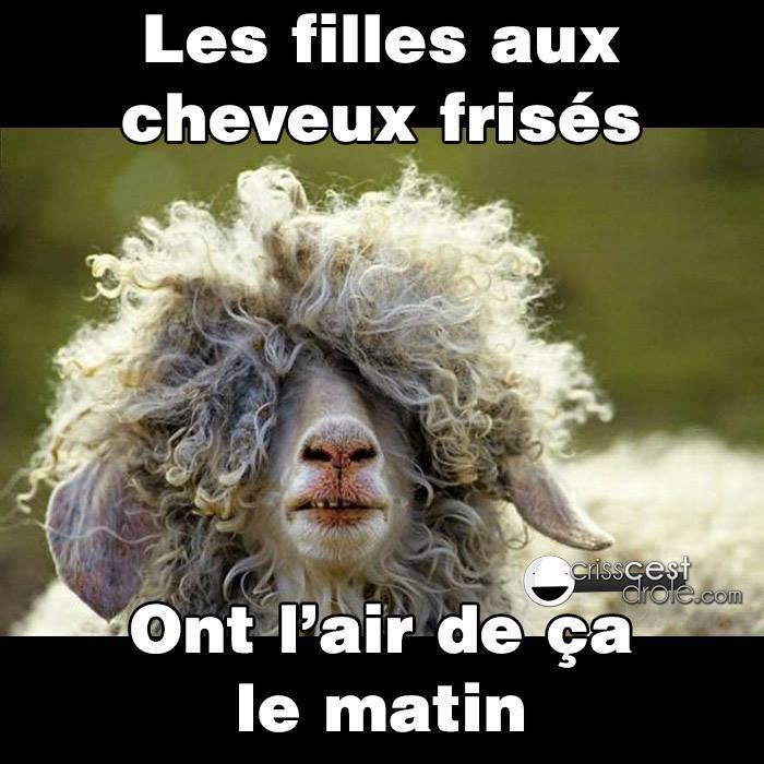 fille au matin.jpg