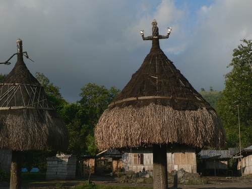 P1050661.JPG