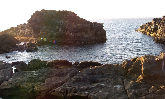 P1015973.JPG