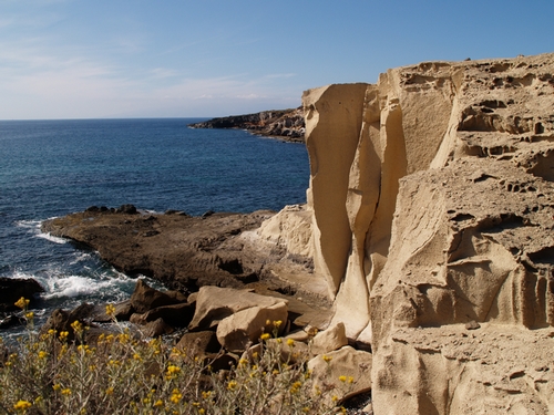 P1016231.JPG