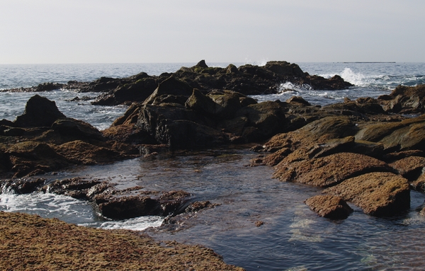 P1016233.JPG