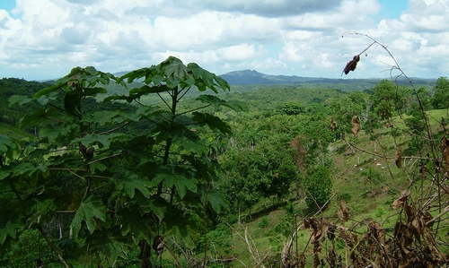 DSCF2036.JPG