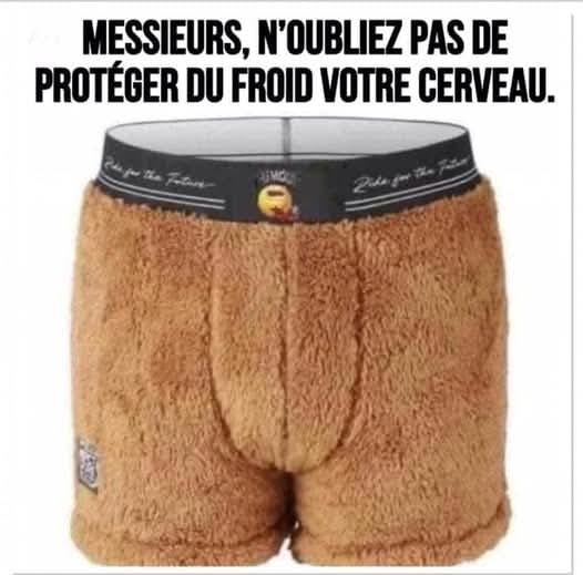 cerveau.jpg